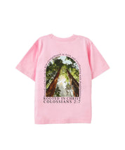 https://jollybell-1326511750.cos.accelerate.myqcloud.com/0/d824c169fe974f16bd909f40a74f3320.png