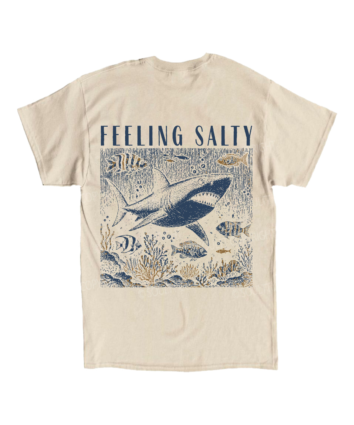https://jollybell-1326511750.cos.accelerate.myqcloud.com/0/e9968fc8baf04cd2a4bab16d7307fbc2.png