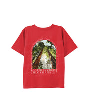 https://jollybell-1326511750.cos.accelerate.myqcloud.com/0/ebbb28d5b4b24cd3ac8a2ac87113e204.png